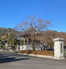 信行寺