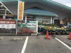 コメリハード＆グリーン　下野寺店