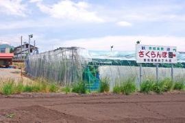 あざみサクランボ園（昭和農園）