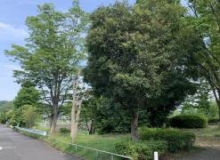 ジャンボ公園
