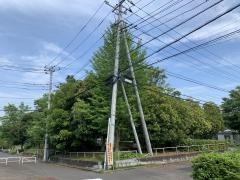 ジャンボ公園