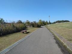手賀沼遊歩道