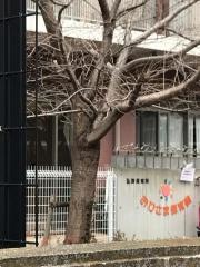 弘済保育所おひさま保育園