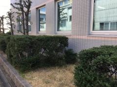 まつかげ看護専門学校