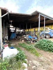 花ケ池牧場