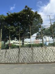 高津橋小学校