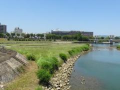 旭川第1緑地