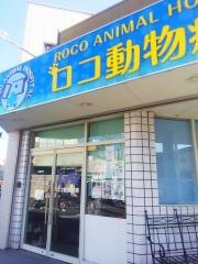 ロコ動物病院
