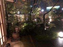 梅の花　富山店