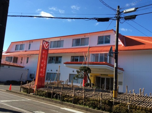 エバーグリーン