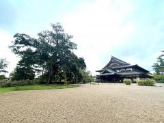 大本　本部