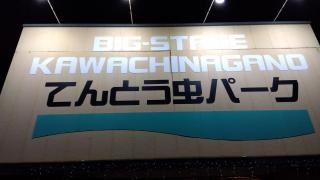 インターボウル・てんとう虫パーク　和歌山店