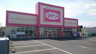 ザ・ダイソー　小山神鳥谷店