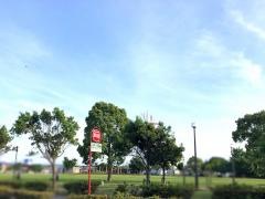 君津中央公園