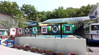 芽生え幼稚園