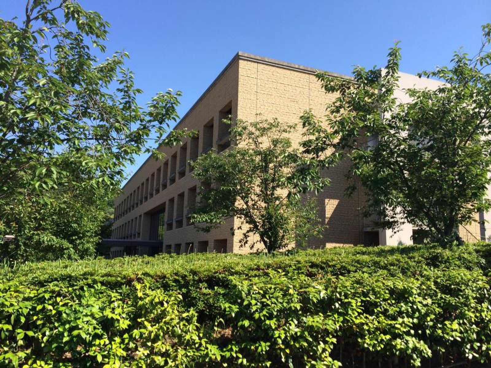香川 県立 保健 医療 大学