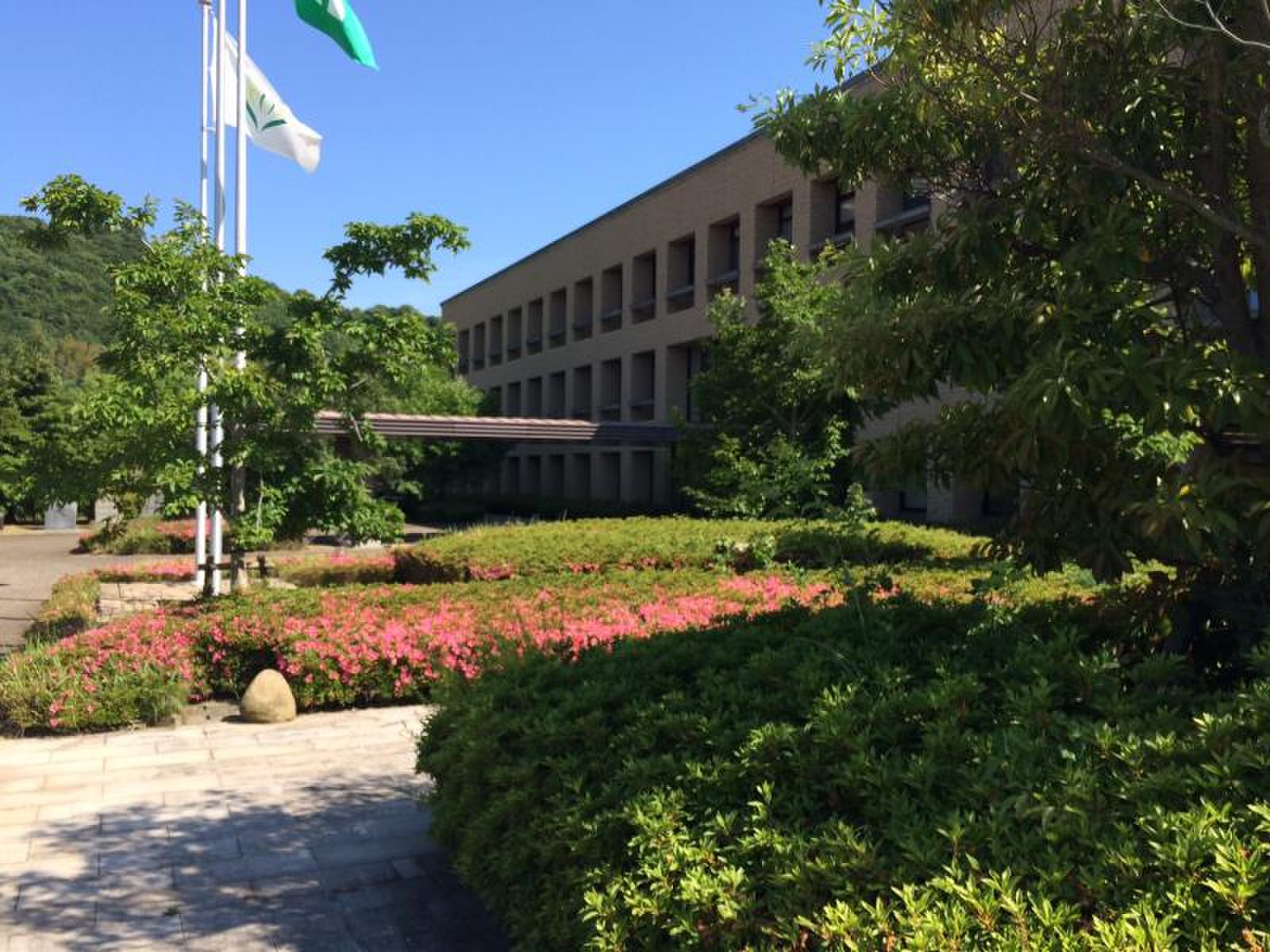 香川 県立 保健 医療 大学