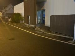 わさび