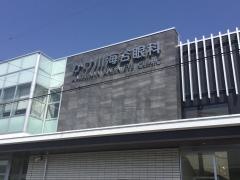 かけ川海谷眼科
