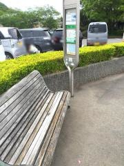「紀伊風土記の丘」バス停留所