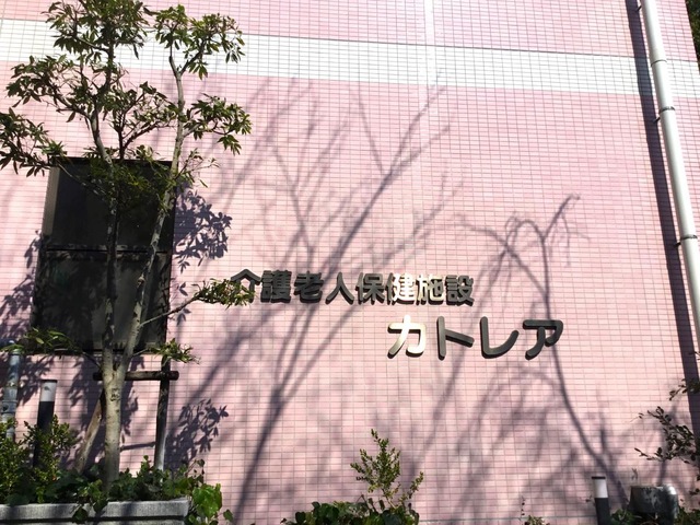カトレア