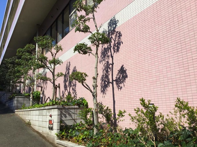 カトレア 施設外観