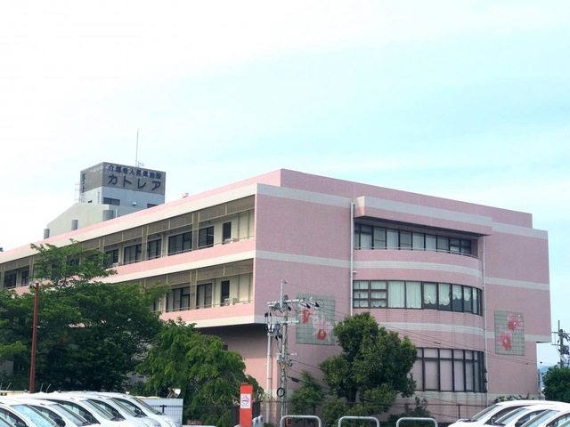 カトレア
