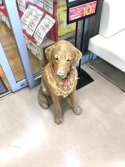 ペットプラス　熱田店
