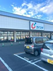 カワチ薬品　岩沼店