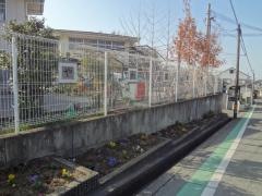 社会福祉法人やわらぎ保育園