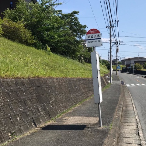 投稿写真1