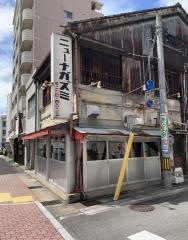 ニューナガズミ