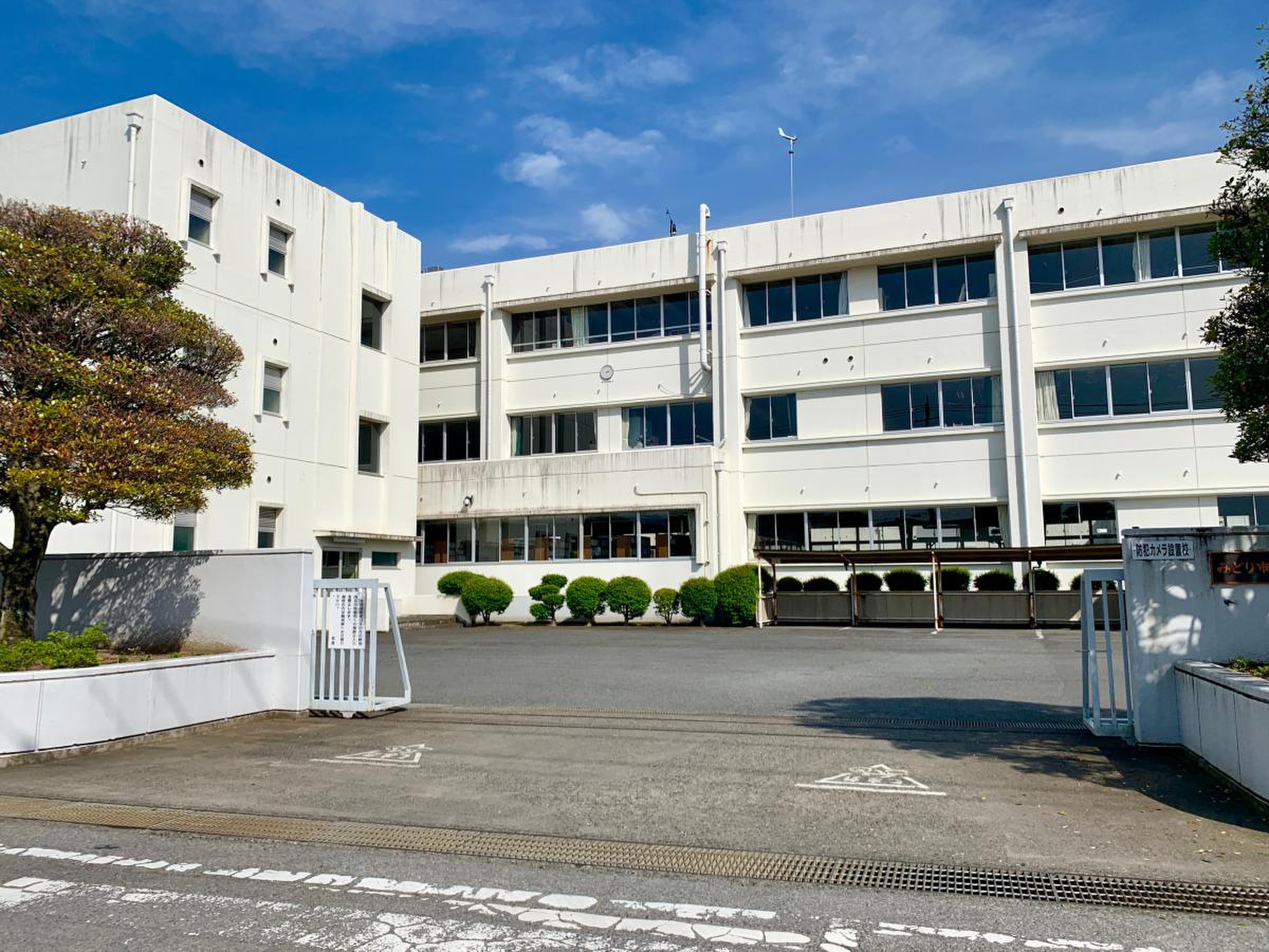 当時のメディア報道・掲載写真