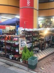 オリンピック　中村橋店
