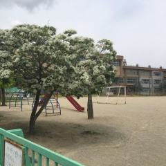 育生小学校
