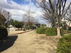 青江公園