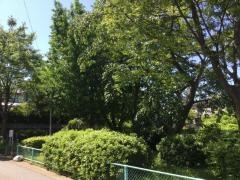 生ノ松原緑地