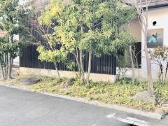 波おと