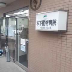 木下動物病院