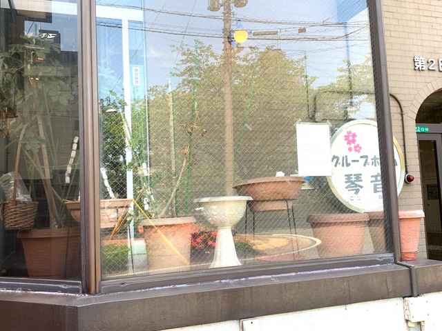 琴音 雰囲気