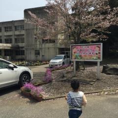 白幡小学校