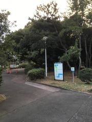 辰巳の森海浜公園