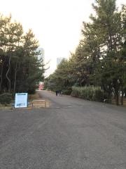 辰巳の森海浜公園
