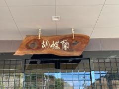 胡蝶蘭