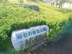 北摂11号公園（ゆりのき台公園）