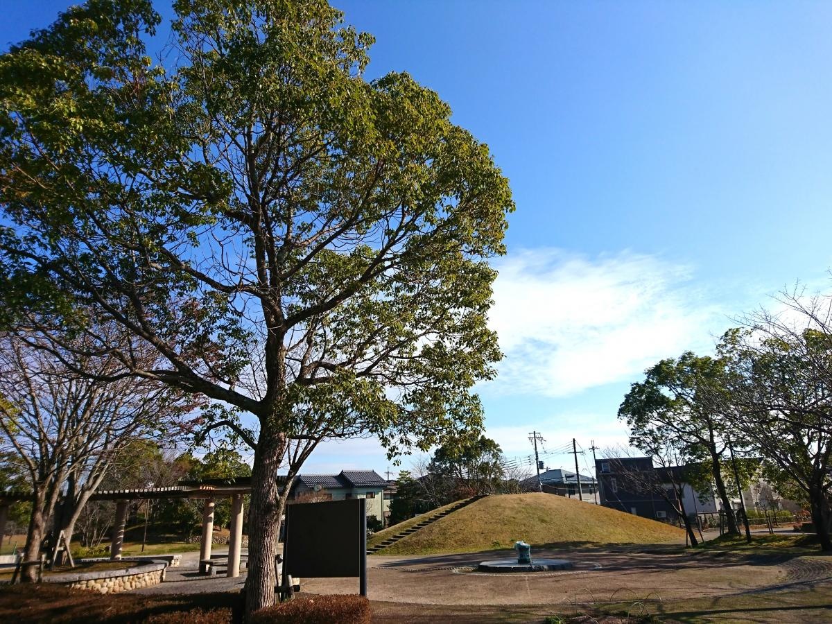 ゆりのき台公園
