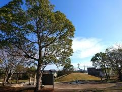 北摂11号公園（ゆりのき台公園）