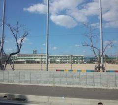 兵庫小学校