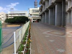 那覇市立首里中学校