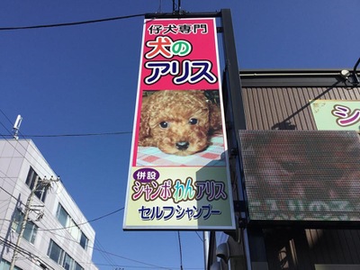 マーケットピア 犬のアリス